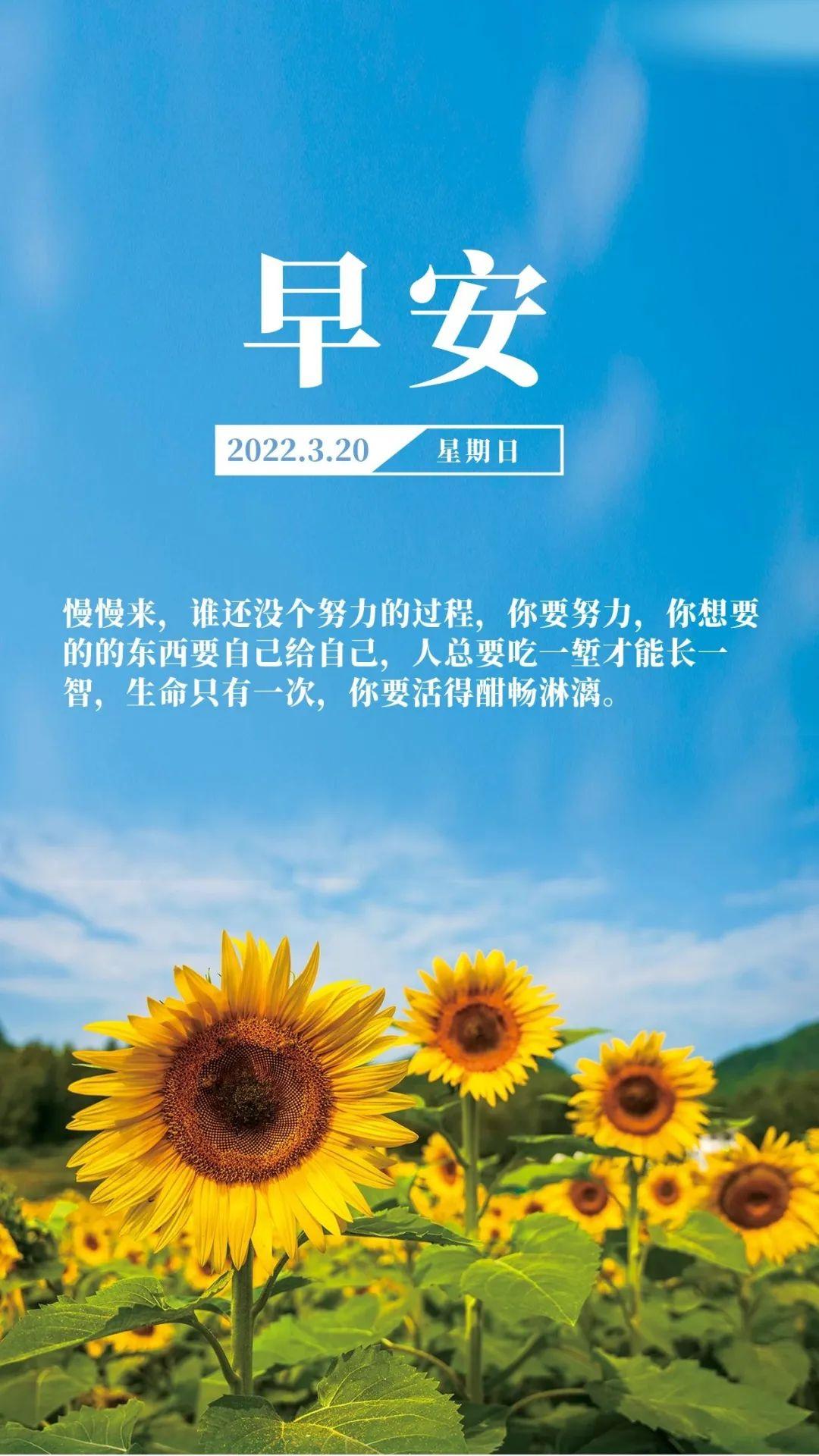 春分最新图片，自信与成就，迎接生机勃勃的季节的到来
