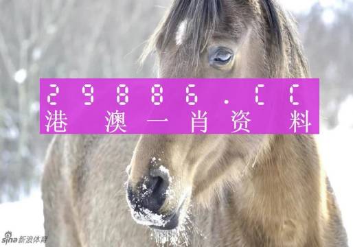 澳门一肖一码100%准确？,可靠执行操作方式_定制版76.333