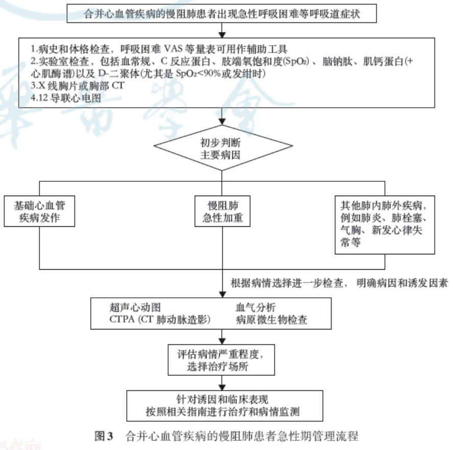 澳门雷锋心水论坛,持续性实施方案_体现版47.259