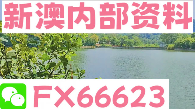 2004新澳精准资料免费,