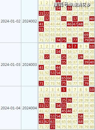 2024年天天开好彩大全,决策支持方案_方案版65.277