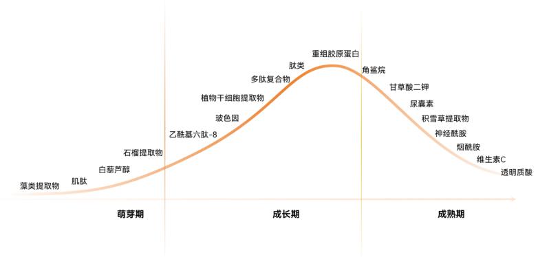 2024精准免费大全,