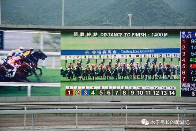 2024香港赛马全年免费资料,