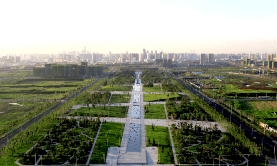 新市府最新观点论述概览