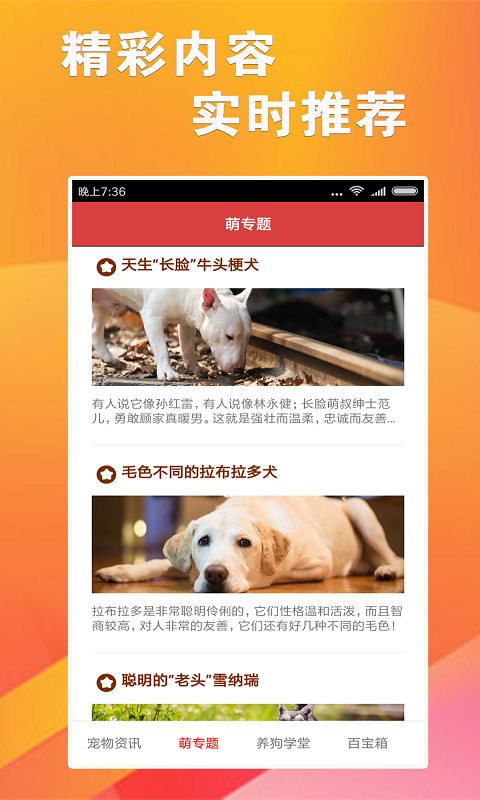 777778888精准跑狗,