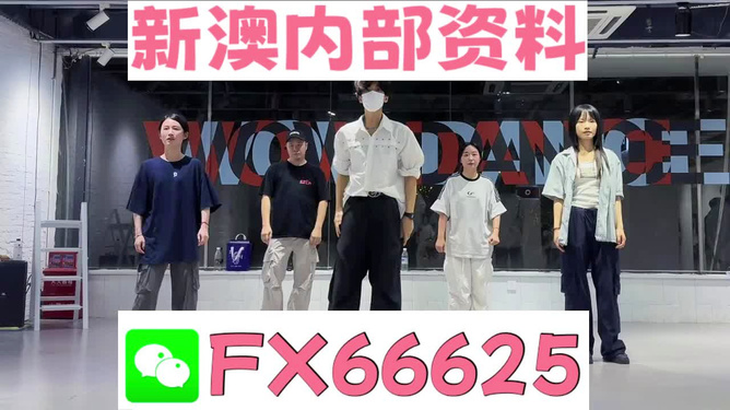 新澳天天彩免费资料大全特色,