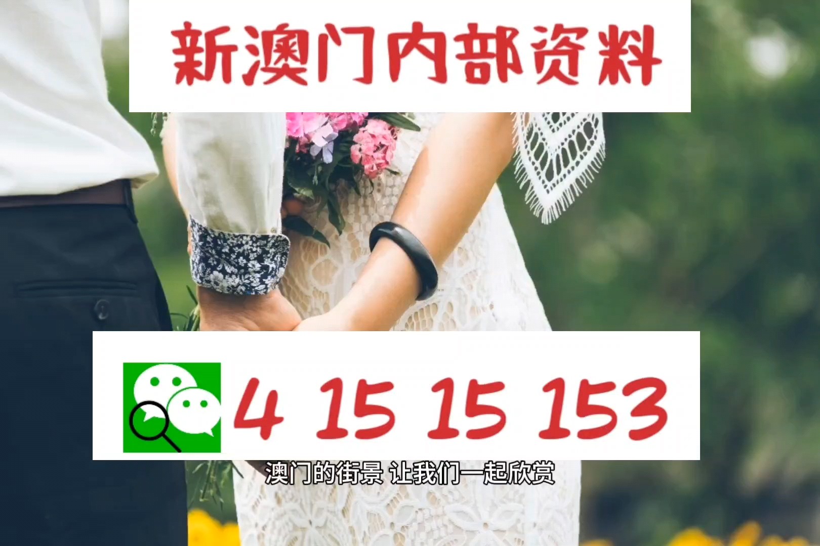 新澳精准资料免费提供219期,专家权威解答_精选版26.925