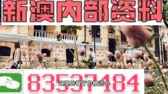 澳门最精准免费资料大全旅游团,