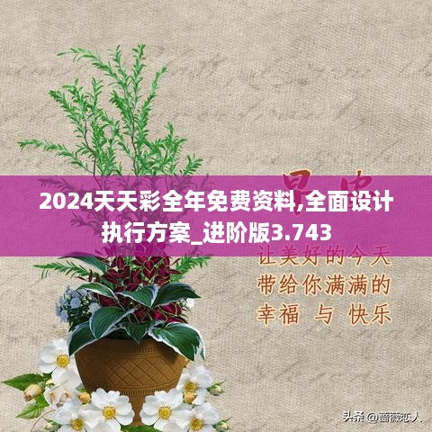 2024年天天彩资料,全面设计实施_高级版63.586