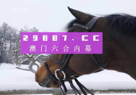 一点红澳门一肖一码,快速处理计划_L版54.284