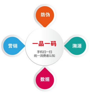 一码一肖必中特,完善实施计划_透明版86.753