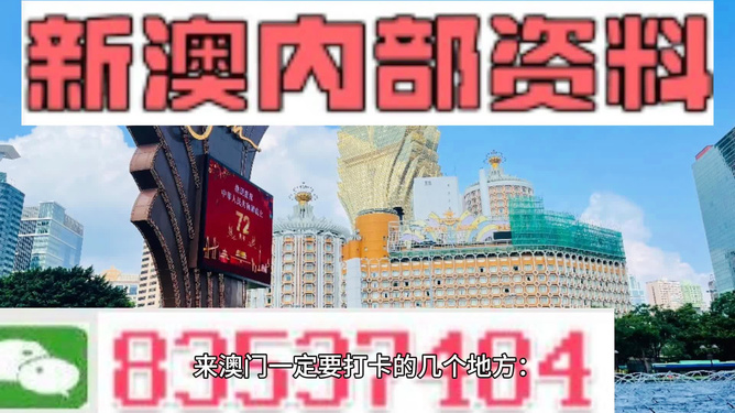新澳门的天天彩精准资料大全,具象化表达解说_旅行者特别版28.502