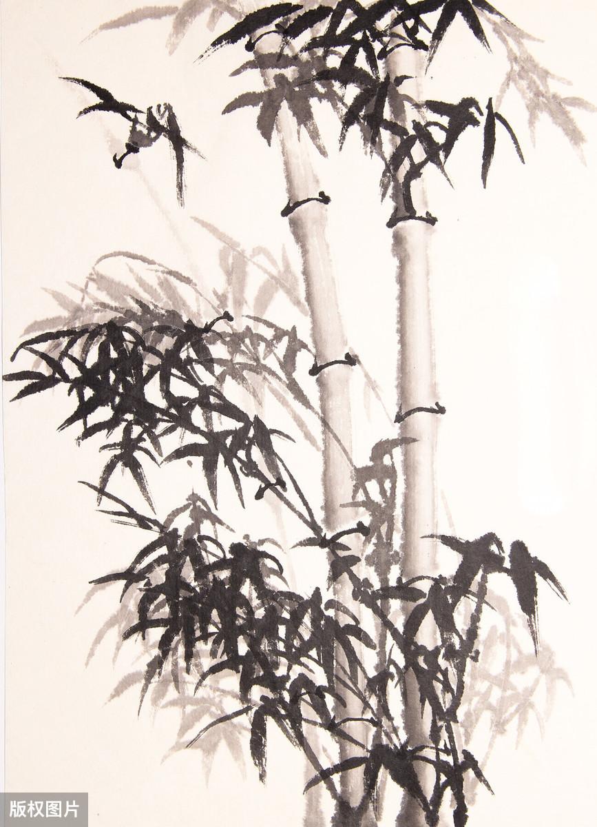 第578页