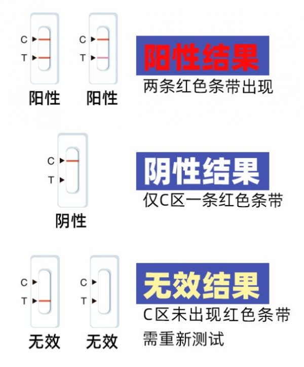 最新阳性抗原图片揭秘，一场探索抗原奥秘的奇妙之旅