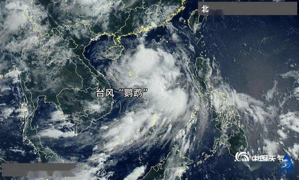 科技引领生活,今年第二号台风智能预警守护安全动态更新