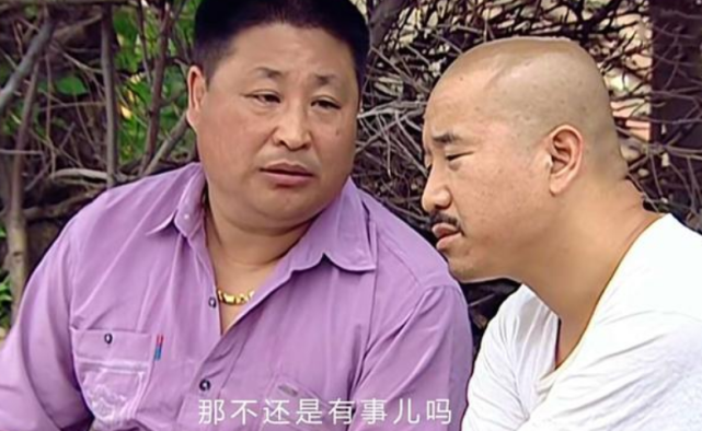 乡村爱情演员名字，回溯与影响，探寻演员们的魅力之源