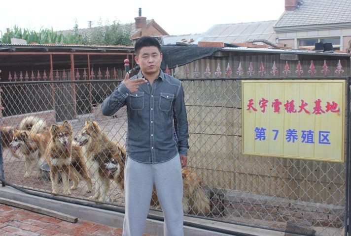 天佑犬业最新照片，与自然美景共舞的心灵之旅启程