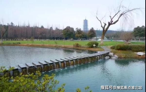 林宁新动态，自然之旅的心灵寻觅，平和与宁静的追寻