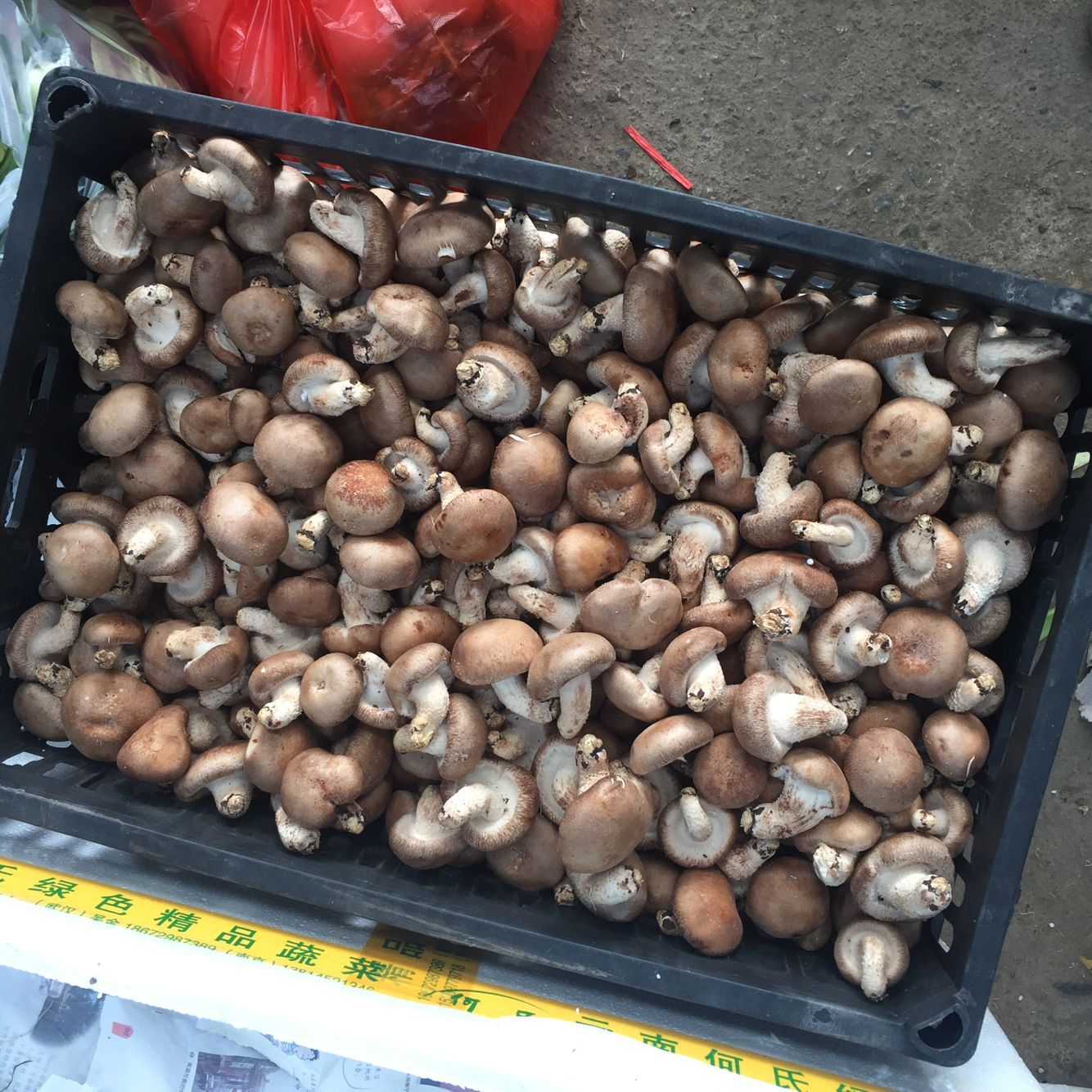 揭秘香菇市场走势，2018年香菇行情深度分析
