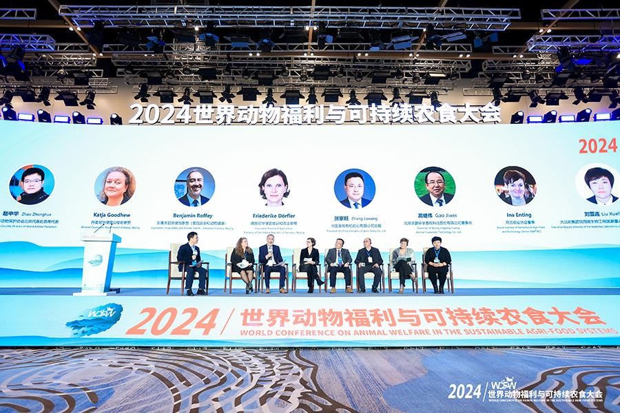 亚洲在线资讯速递,从初生到崭新时代的蜕变之路历程回顾