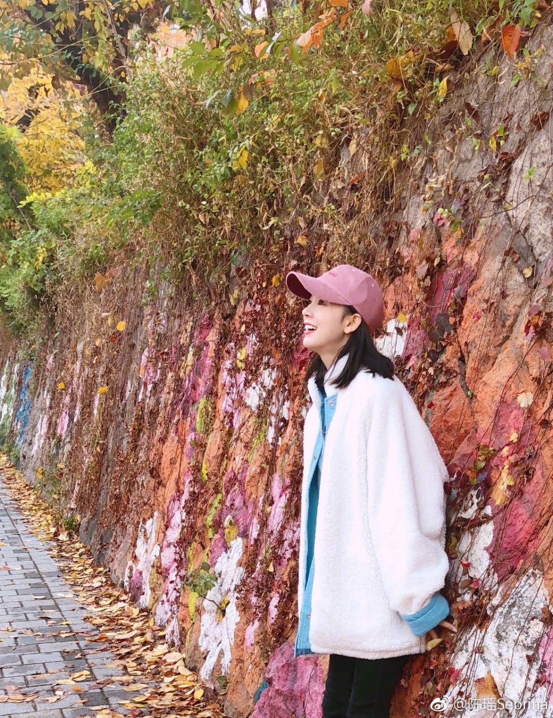 陈瑶，拥抱自然，探寻内心宁静之旅的最新动态