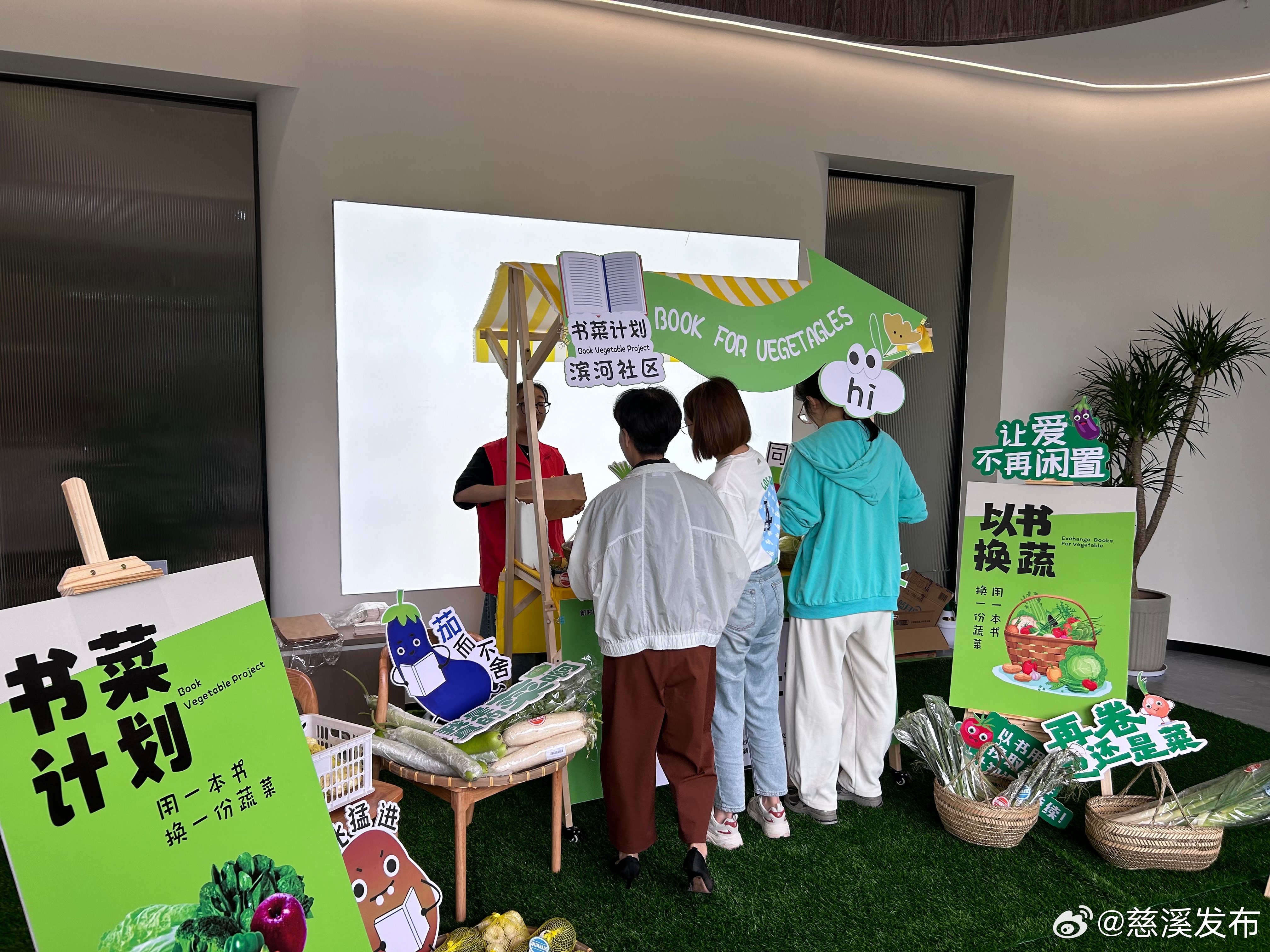 常青树众筹最新动态，学习变化，自信成长，携手走向成功之路