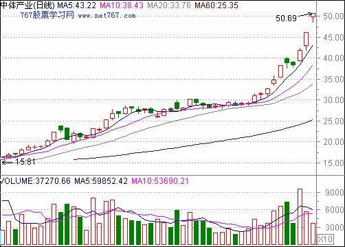 中体产业股票行情分析与投资决策指南,洞悉股市动态,把握投资机会。