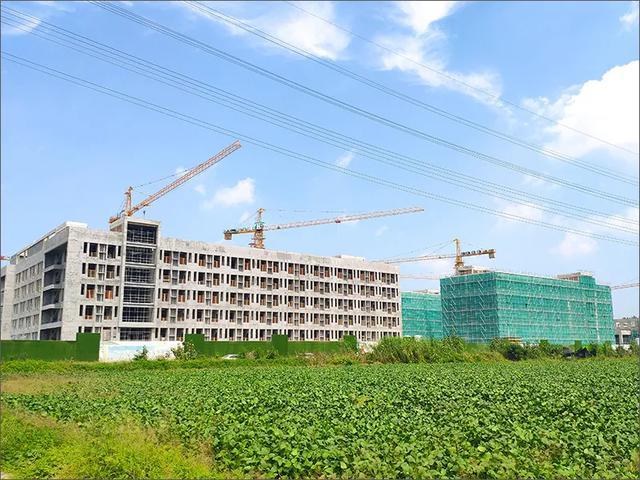 沛县周边最新招聘信息大汇总