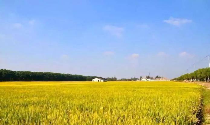 科技智领未来，南陵天气预报15日精准预报，洞悉天气变化