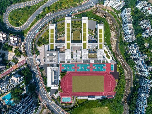 盐田云海学校最新动态及观点论述揭秘