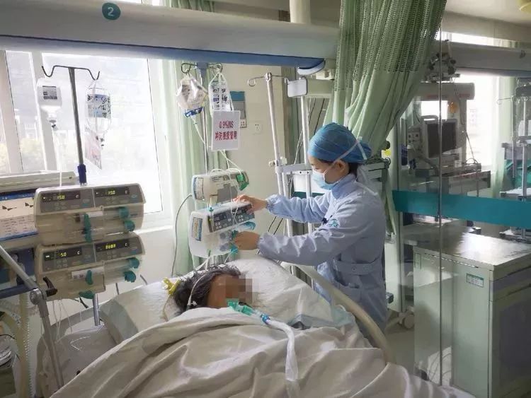 心肺健康资讯，全方位指南，助你维护心肺健康！