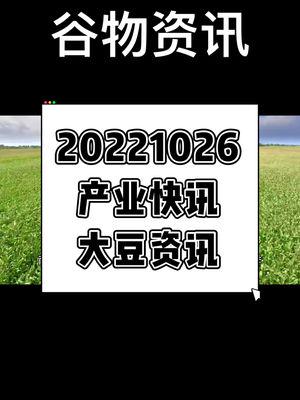最新谷物资讯，日常故事中的温馨时刻