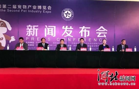 南和最新资讯深度解析，观点阐述与分析