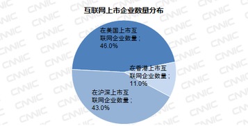 上市网络公司的成功之路，策略、挑战与前景展望