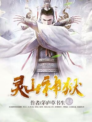 不败神婿杨辰最新篇章揭秘，背景、事件与地位全解析
