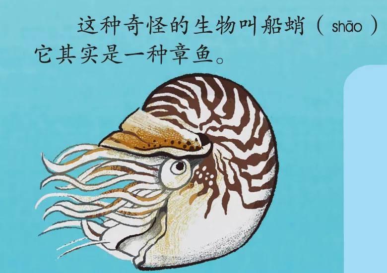 最新辞海，背景、重大事件与时代印记的诠释