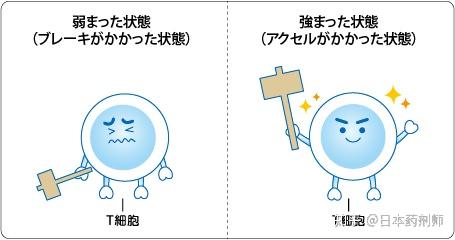 小型冷库设计 第59页