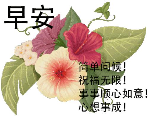 微信最新版本深度解析，优劣影响探讨