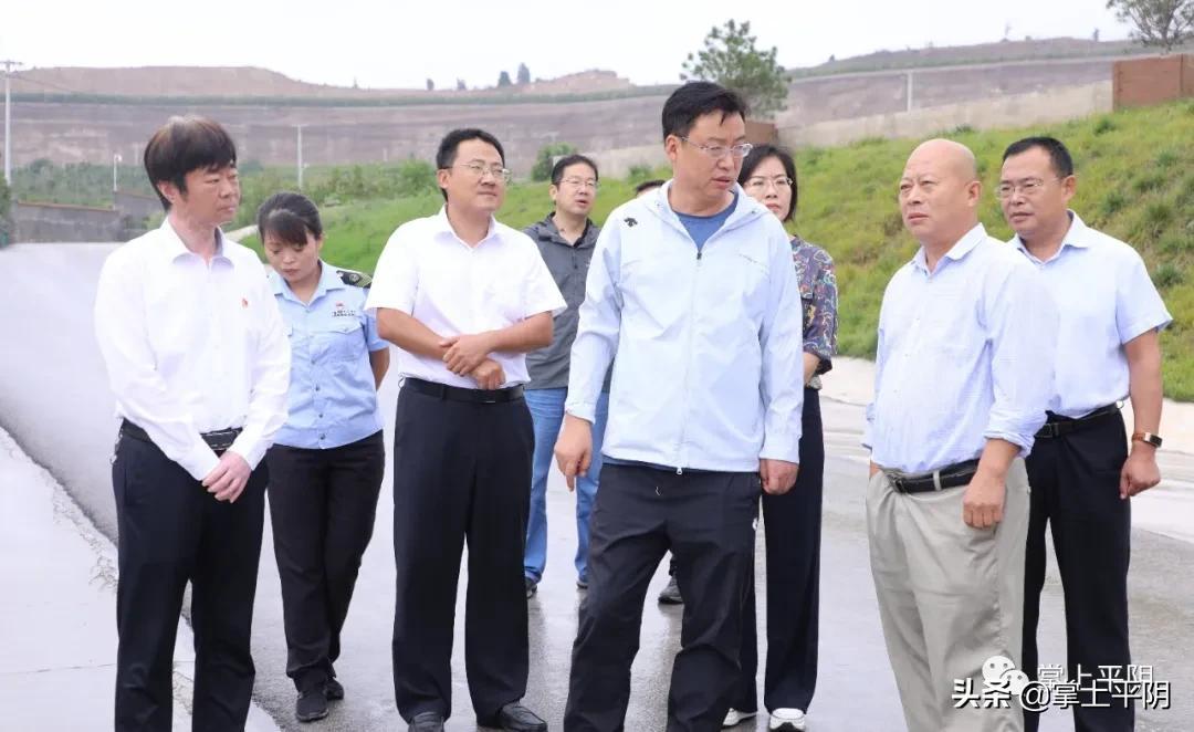 平阴最新新闻，高科技产品引领未来生活革新