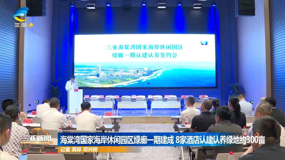 三亚最新新闻动态更新，海浪沙滩与城市的最新故事