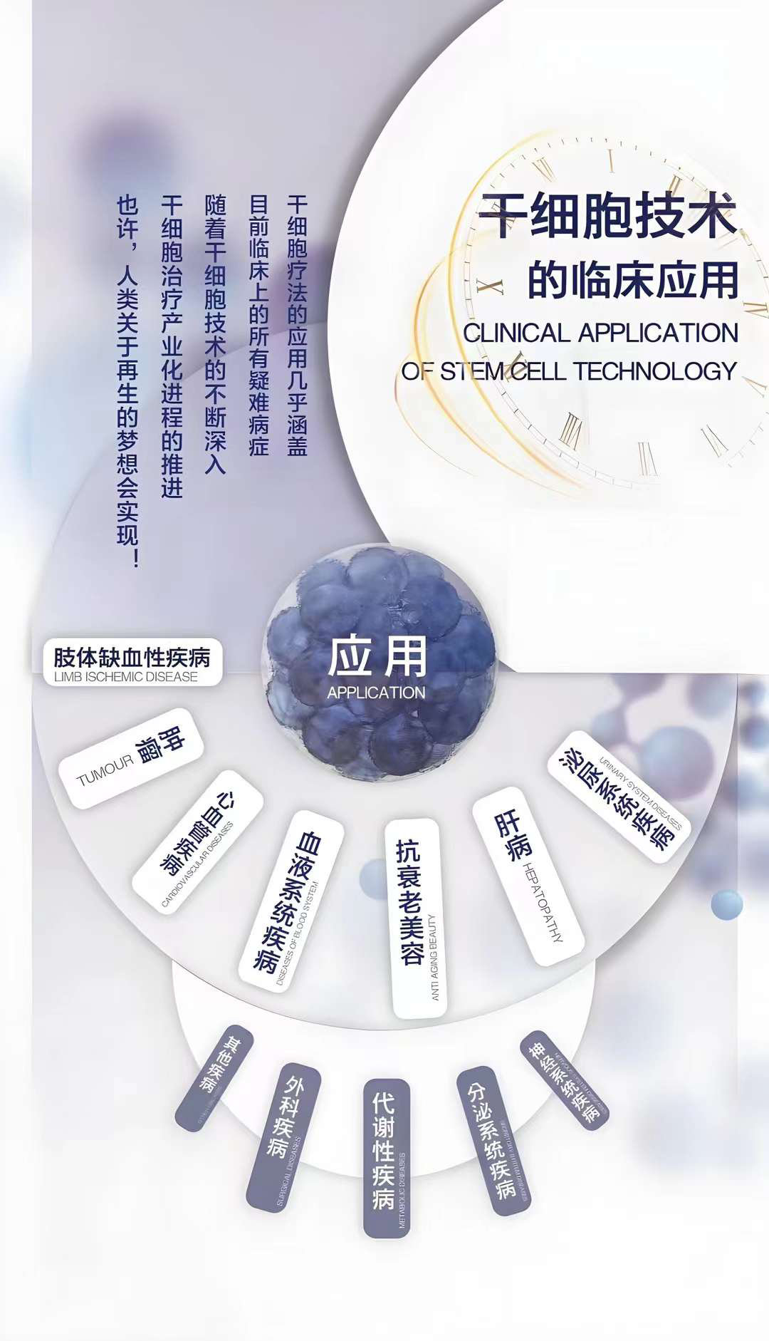 干细胞重塑生命科学未来，最新突破引领生命科学新篇章