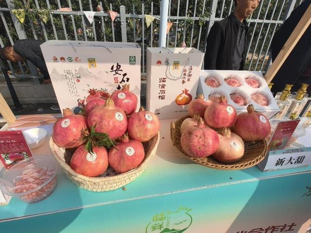 草社区榴最新探索与科普，揭秘草社区榴的奥秘（2024版）