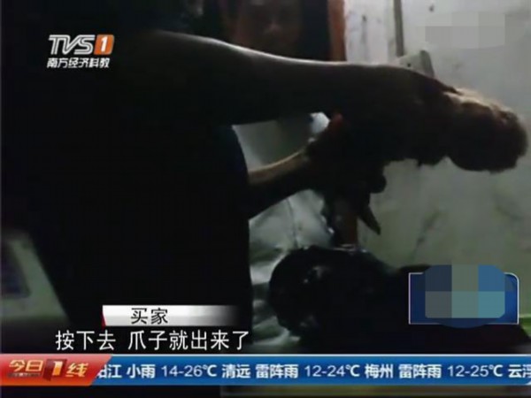 四虎影视最新视频，自然美景之旅，探寻内心平和之旅