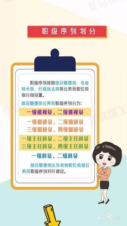 山东职级并行最新实施准则详解