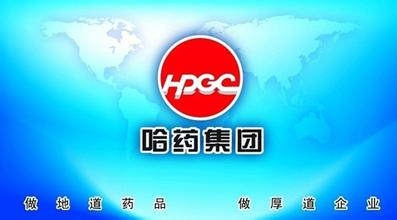 哈药最新动态，夏日温情故事