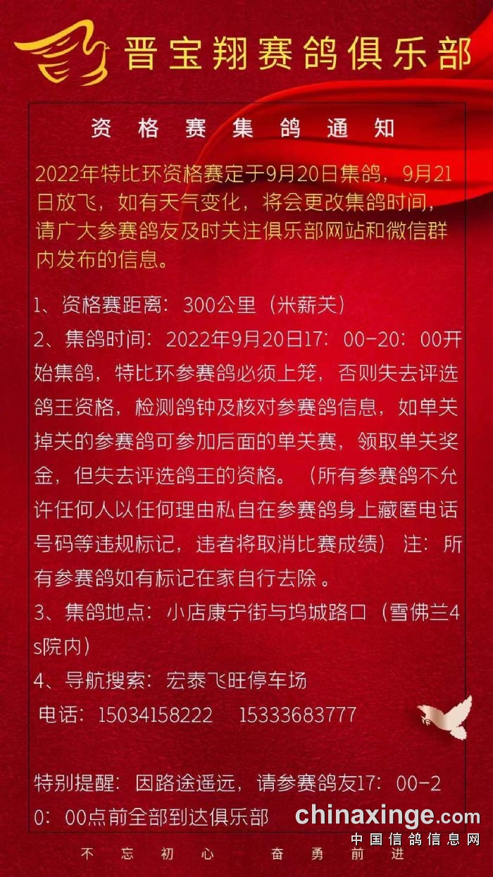 宝翔公棚最新公告及其观点论述解析