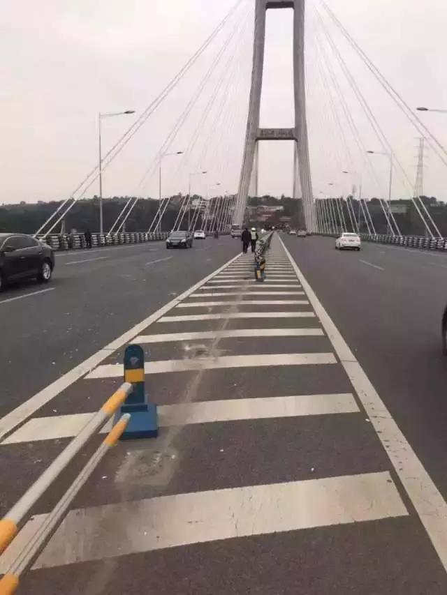 向长江最新动态更新消息