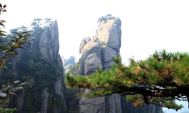 向长江最新动态更新消息