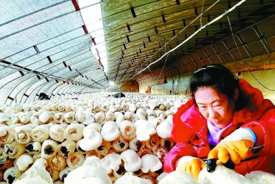 沁源贴吧热点消息荟萃,地域风采与最新事件交汇点