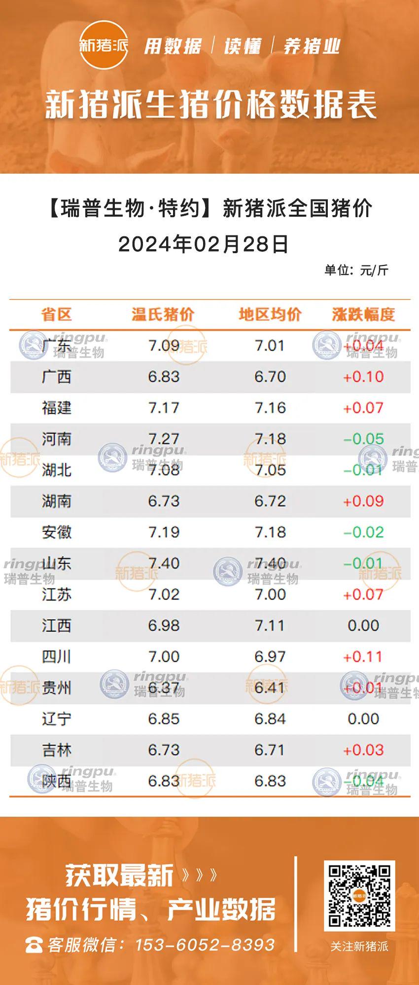 四川小猪最新价格揭秘，小巷深处的惊喜探索之旅